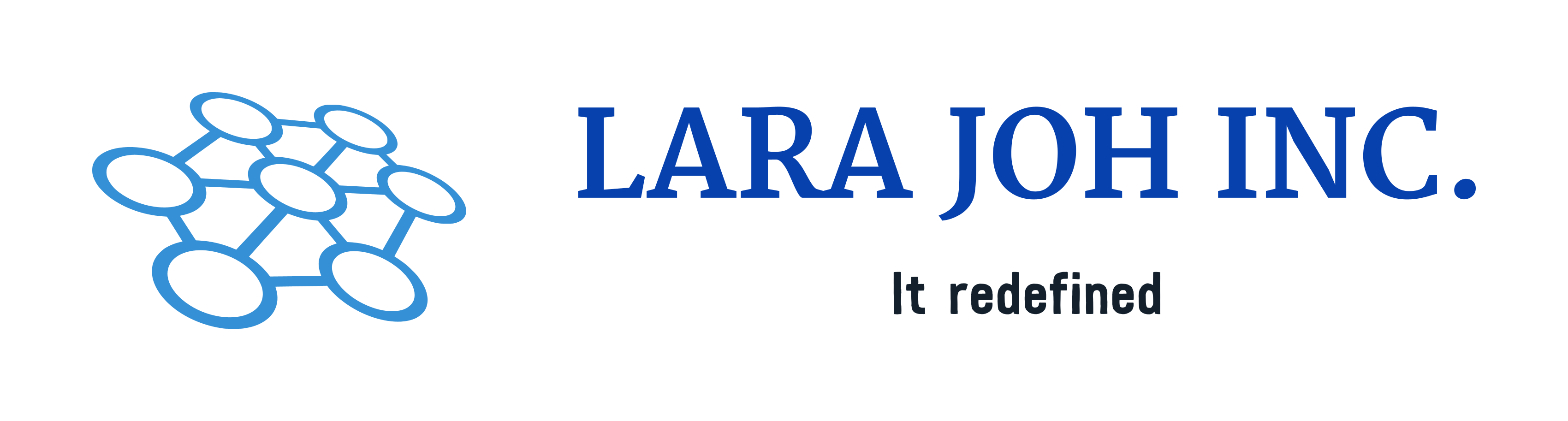 LARA JOH IT SERVICES INC