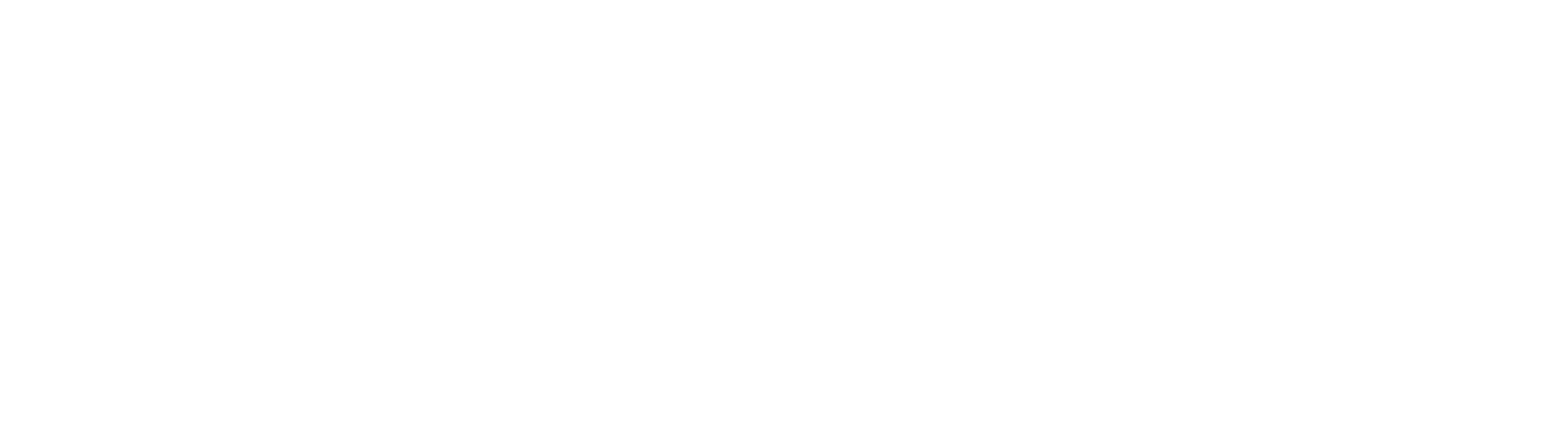 LARA JOH IT SERVICES INC.